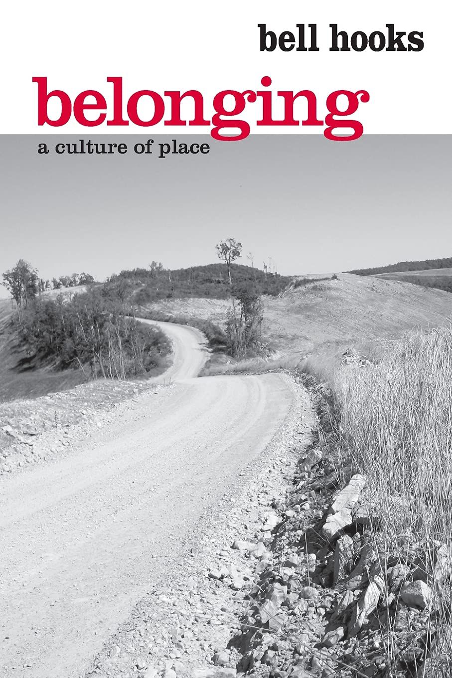 a graphic of the cover of Belonging: a Culture of Place by bell hooks