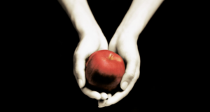 an image of two pale hands holding a red apple, as shown on the Twilight cover